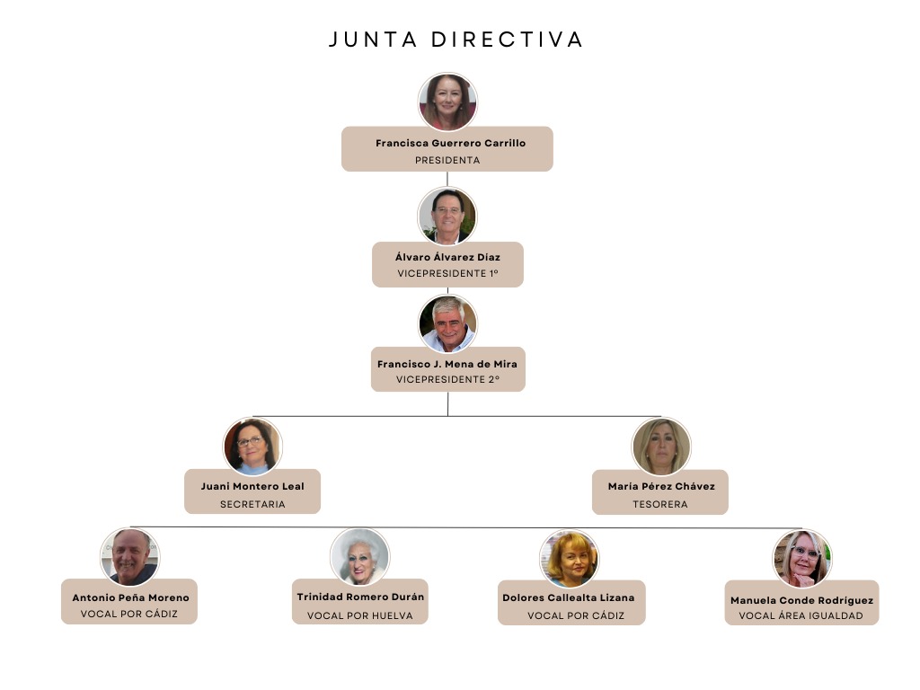 Junta Directiva Redes
