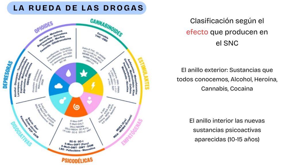 La Rueda de las drogas 1